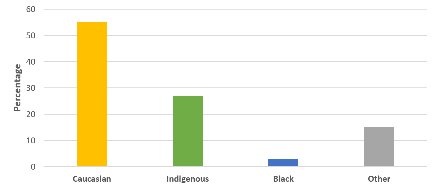 Figure 2: Percentage of Percentage of Drug Treatment Participants by Race, 2015-2021